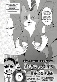 The Black Cat Who Became The Director The Black Cat Who Became The Director