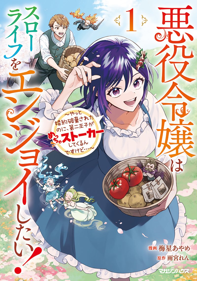 Akuyaku Reijou wa Slow Life o Enjoy Shitai!: Yatto Kon’yaku Hakisareta no ni, Daini Ouji ga Meccha Stalker Shitekurun desu kedo Akuyaku Reijou wa Slow Life o Enjoy Shitai!: Yatto Kon’yaku Hakisareta no ni, Daini Ouji ga Meccha Stalker Shitekurun desu kedo