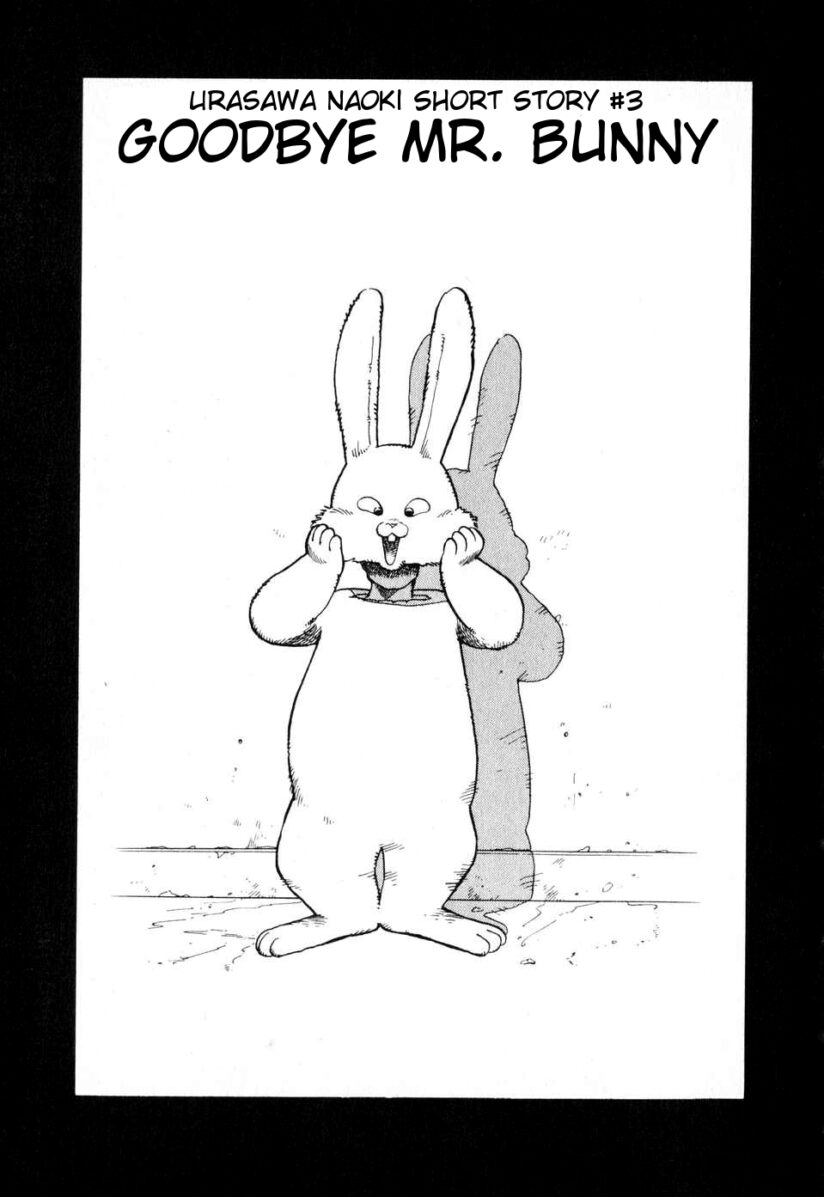 Goodbye Mr. Bunny Goodbye Mr. Bunny