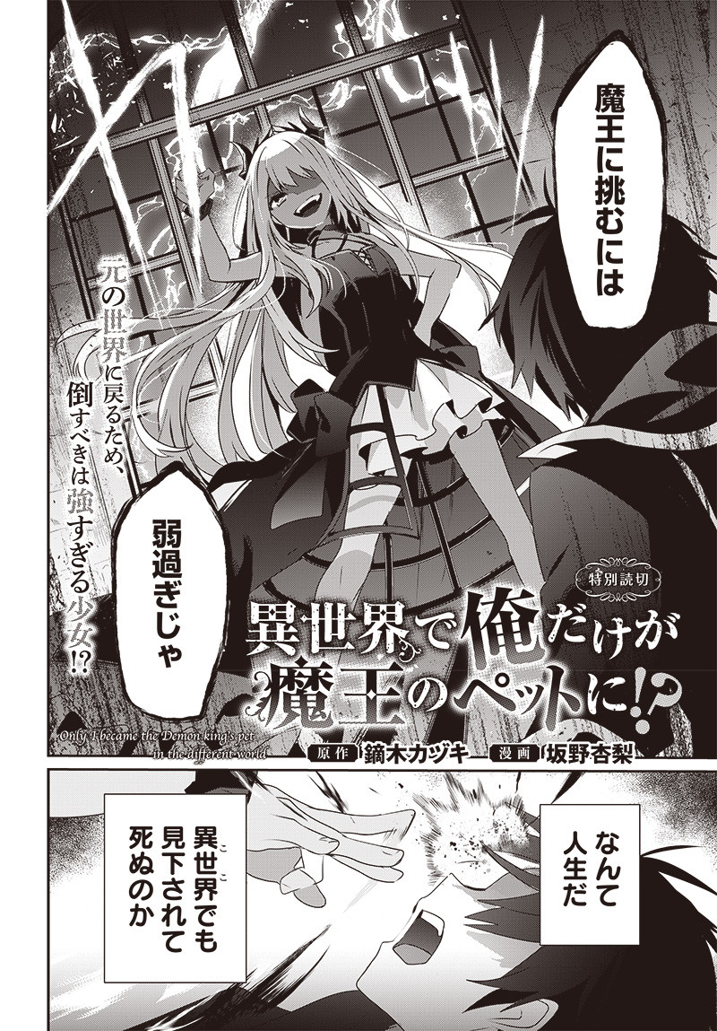 Isekai de Ore dake ga Maou no Pet ni!? Isekai de Ore dake ga Maou no Pet ni!?