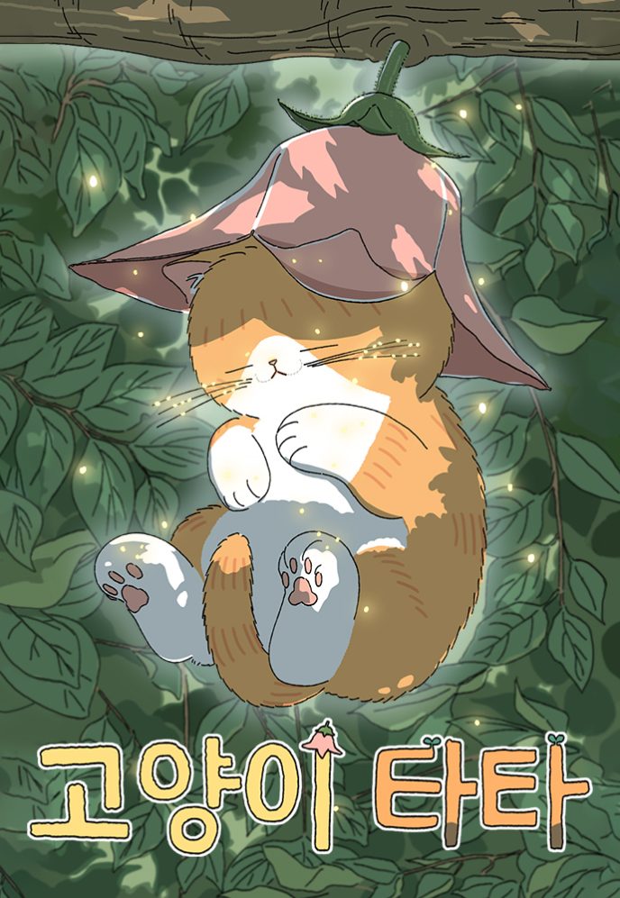 Tata the Cat Tata the Cat