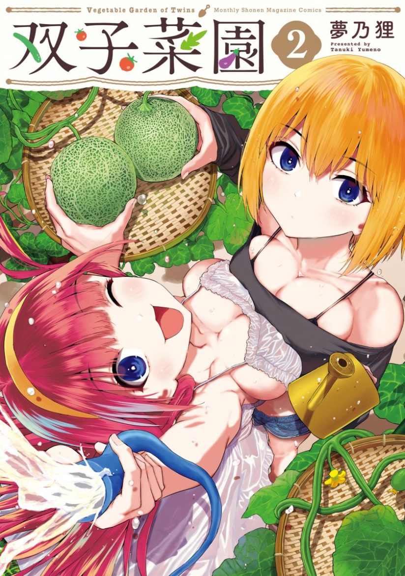 Vegetable Garden of Twins Vegetable Garden of Twins