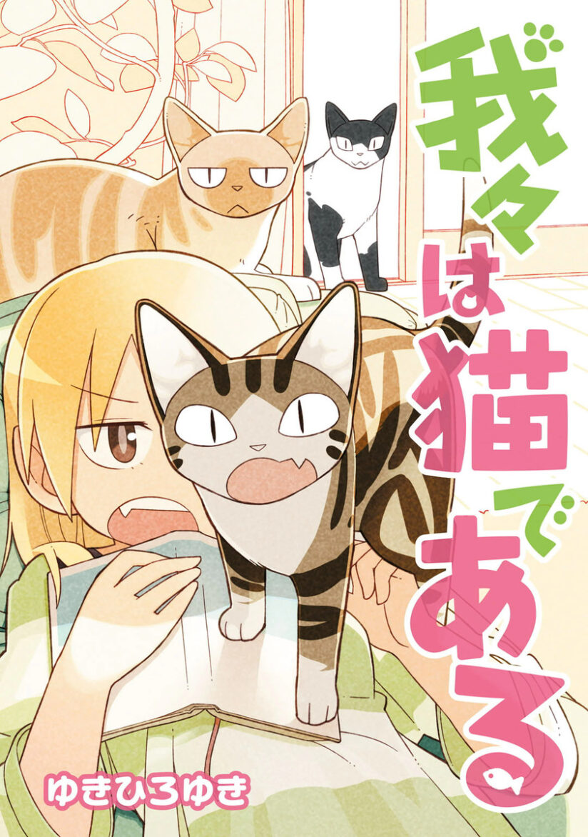 We Are Cats We Are Cats
