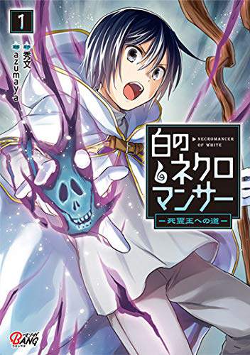 White Necromancer ~Road to Necromancer King~ White Necromancer ~Road to Necromancer King~